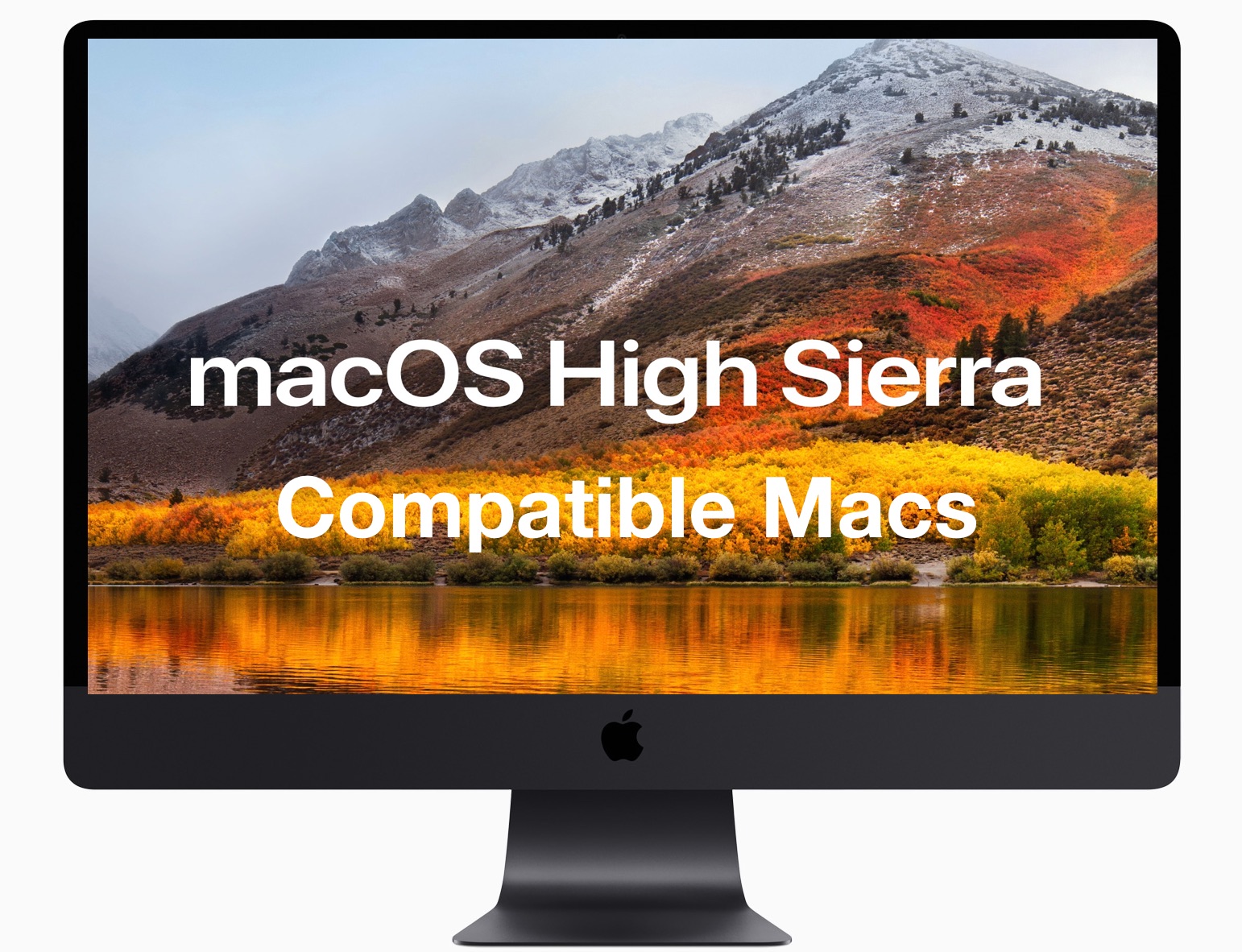 microsoft word mac high sierra